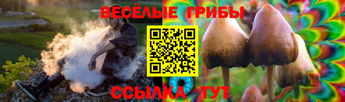 Кирово-Чепецк  Галлюциногенные грибы мухоморы  Вход с VPN 
